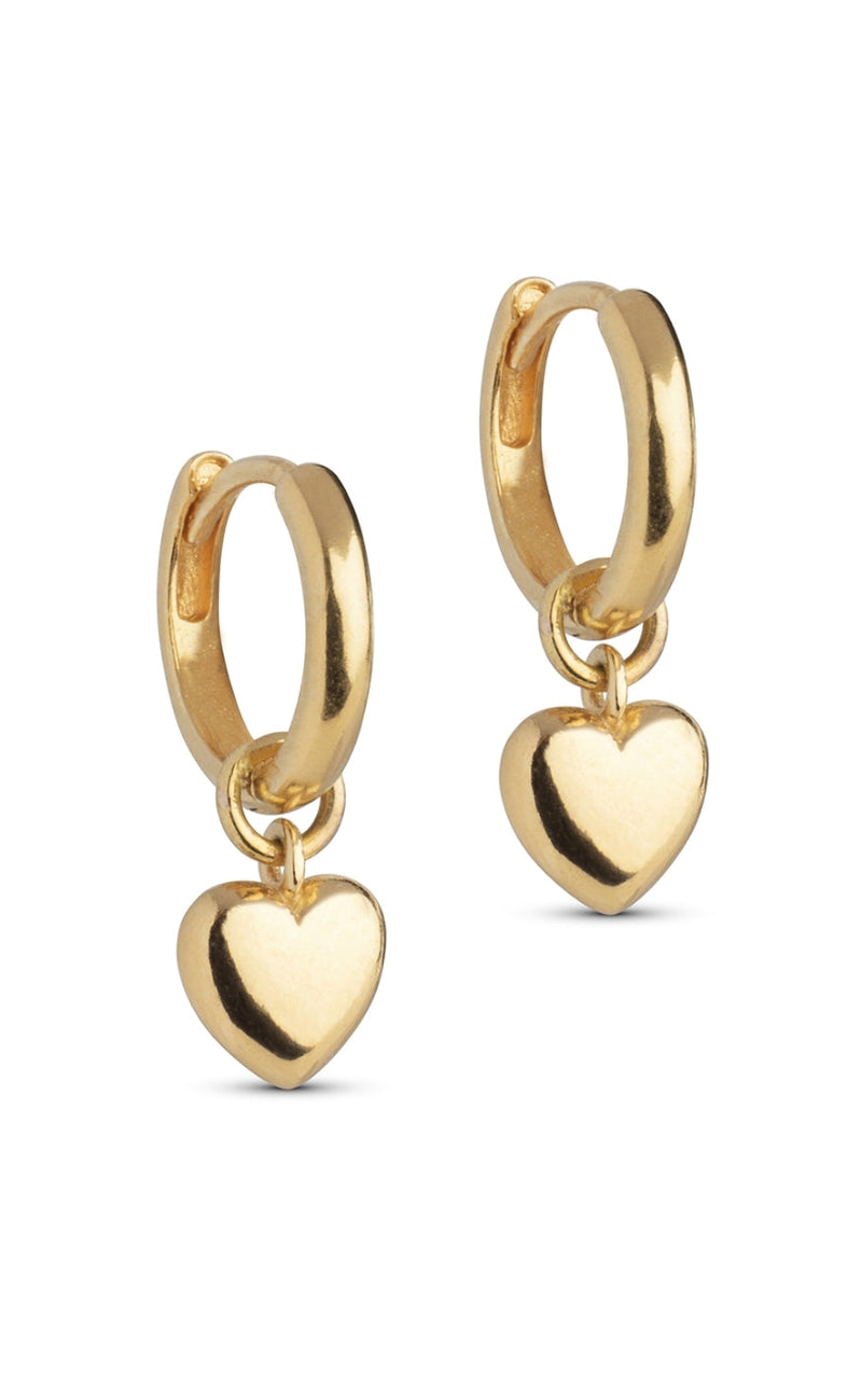 Enamel Copenhagen Øreringer - Amore Hoops - Gold Colour
