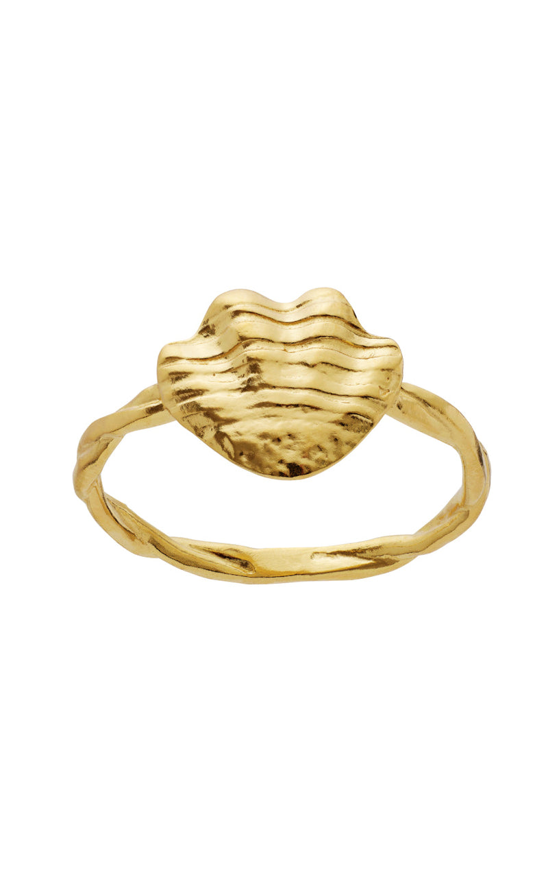 Maanesten Ring - Dwyn - Gold