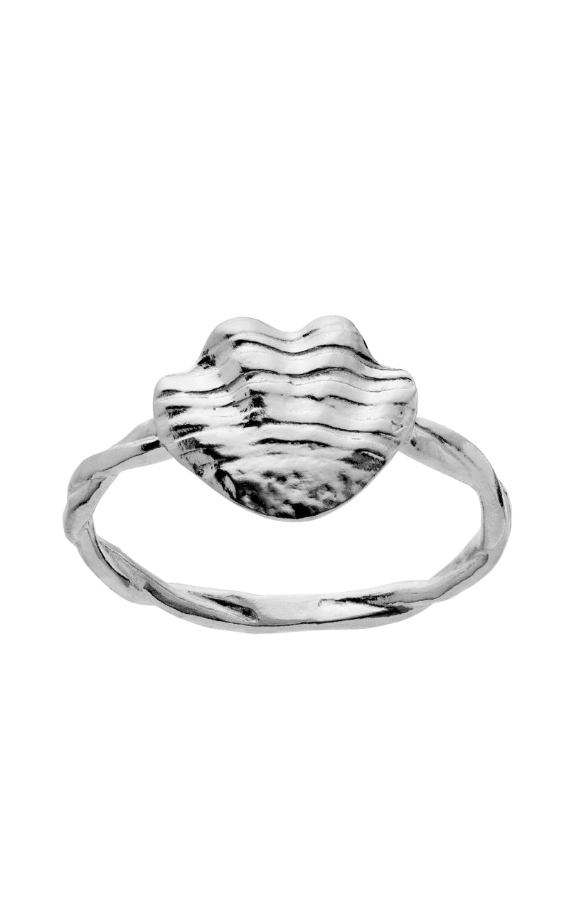 Maanesten Ring - Dwyn - Silver