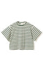 Noella T-shirt - N-Maple - Eton Ivory Green Stripe
