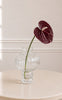 Sabloom Stilk - Anthurium - Burgundy