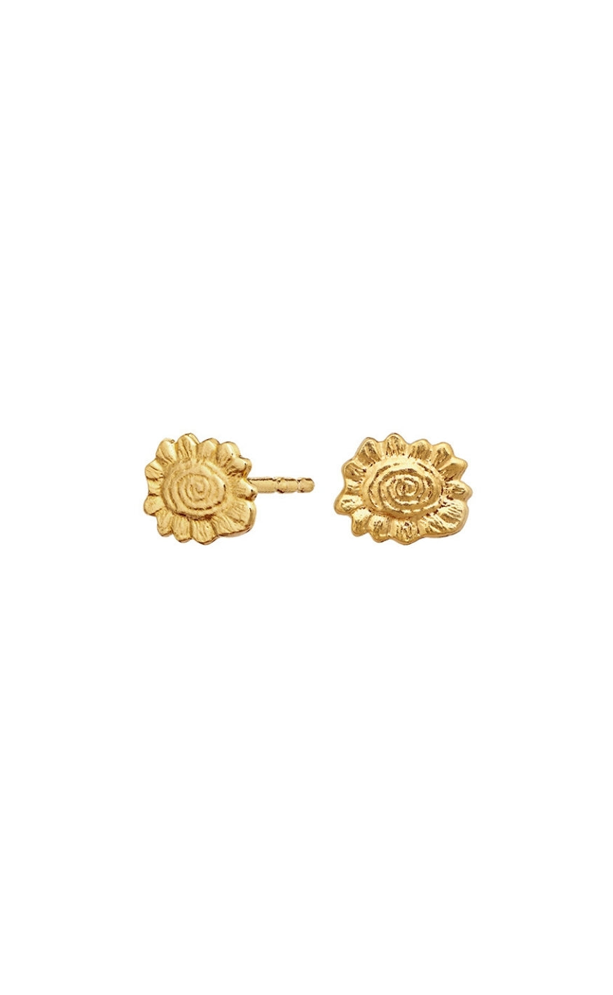 Maanesten Øreringer - Sonny - Gold Colour