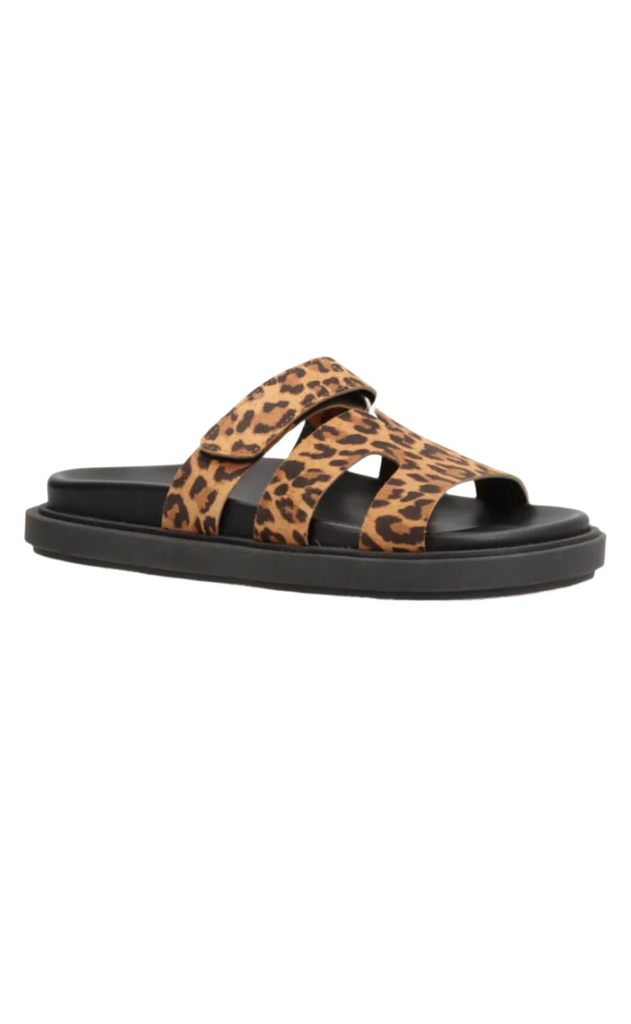 Phenumb Sko - Echo S - Suede Leopard