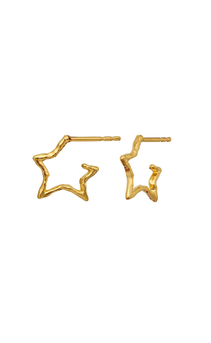 Maanesten Øreringer - Zara - Gold Colour