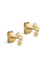 ENAMEL Copenhagen Øredobber - Organic Star - Gold Plated