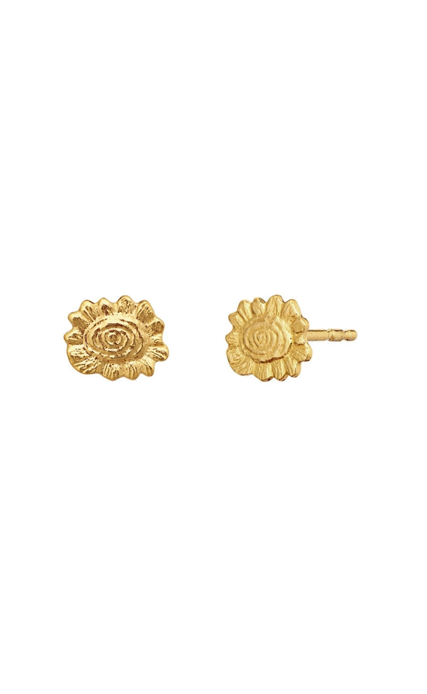 Maanesten Øreringer - Sonny - Gold Colour