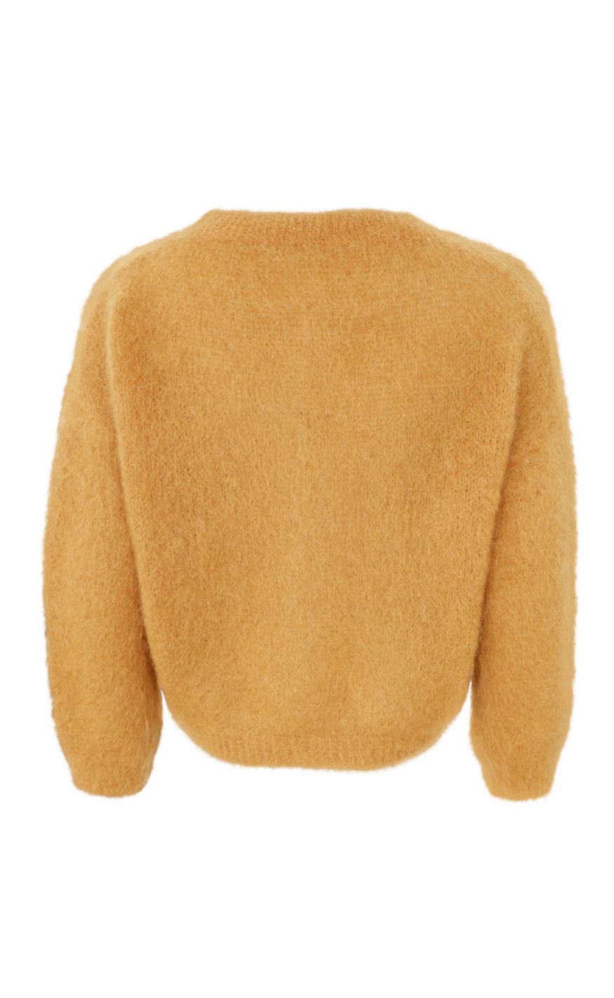 Black Colour Cardigan - Bjoerk Patent Knit - Mustard