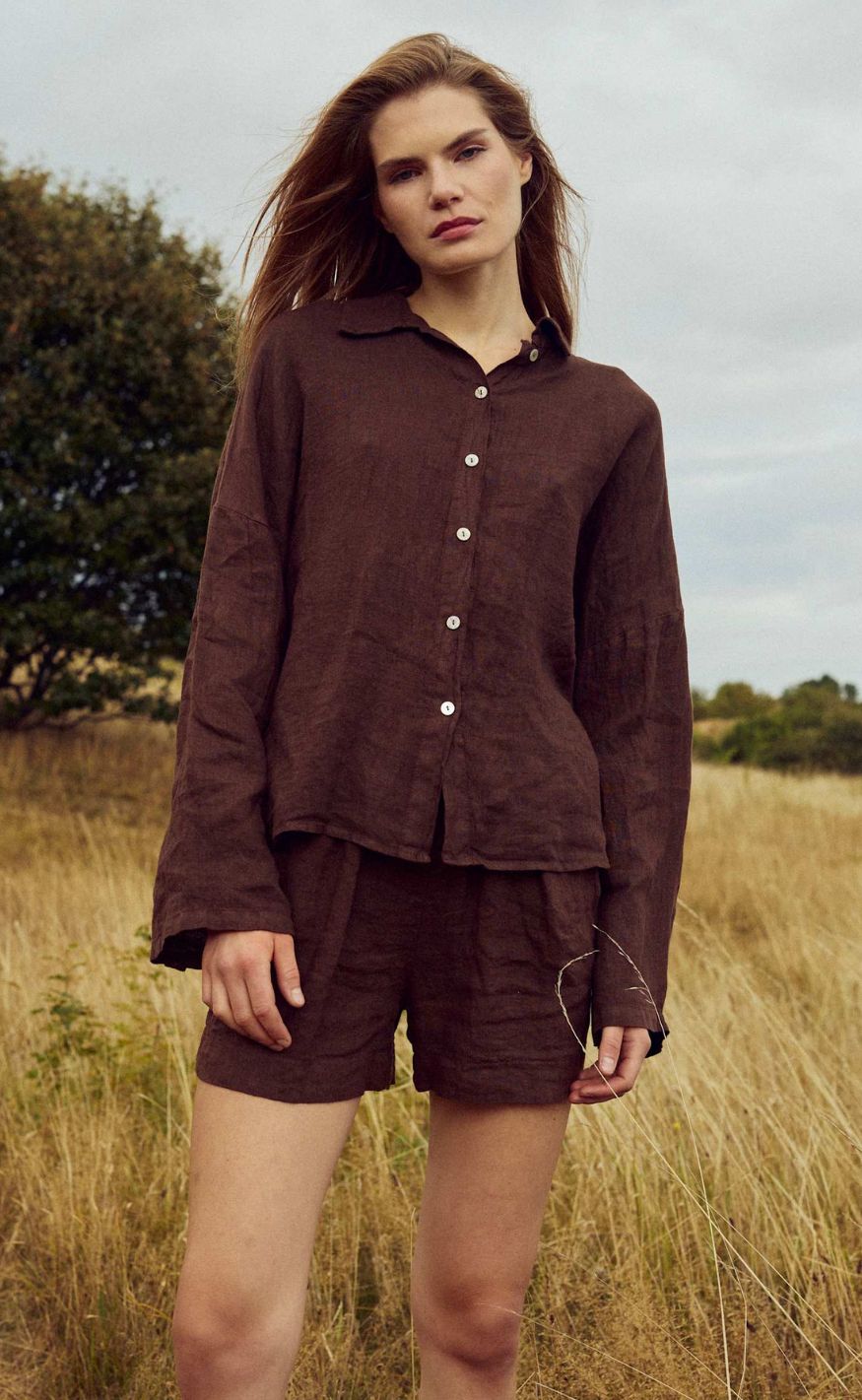 Noella Shorts - Layne - Chocolate
