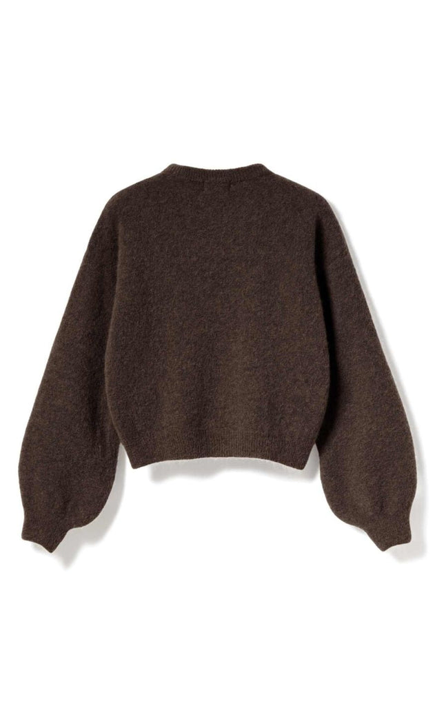 Noella Genser - Kae - Chocolate