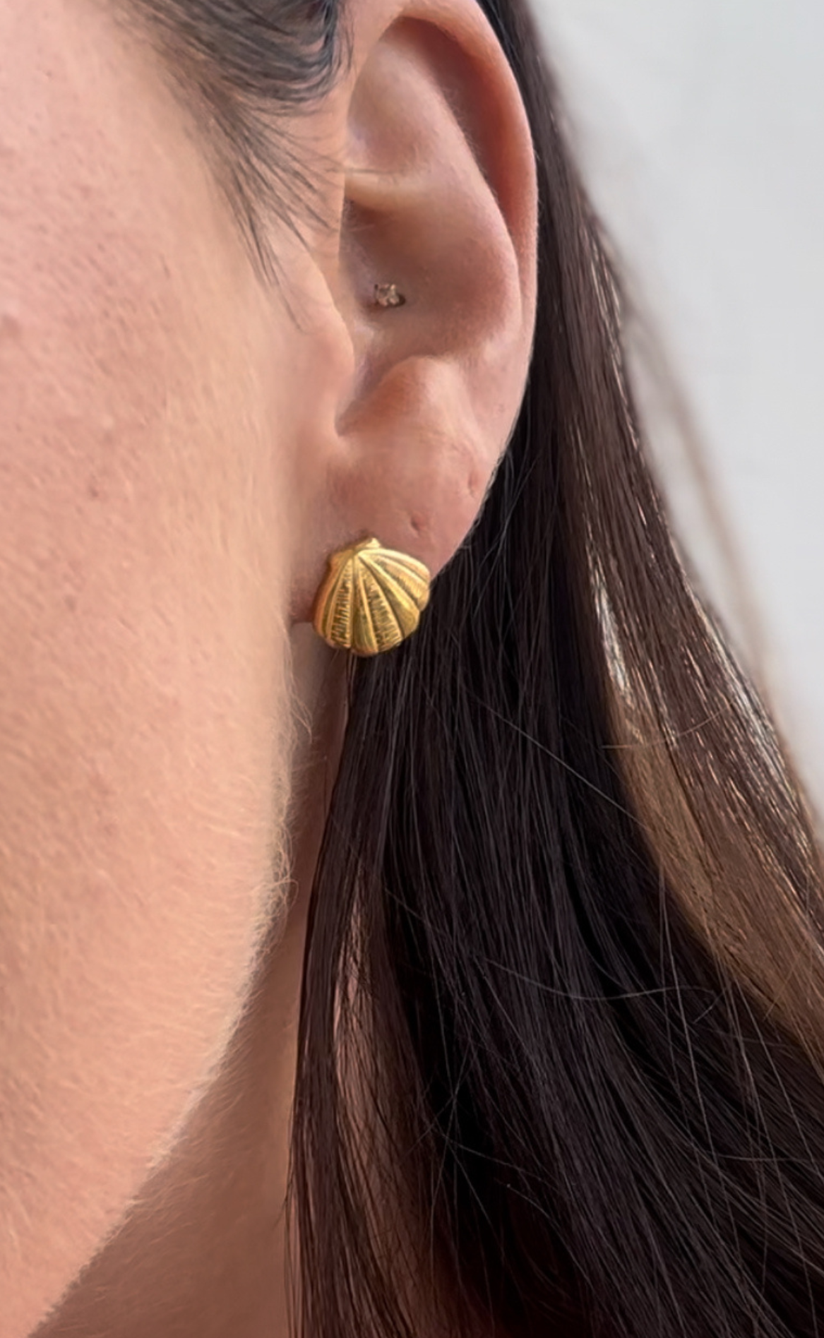 Smykkeli Copenhagen Øreringer - Shell - Gold Colour