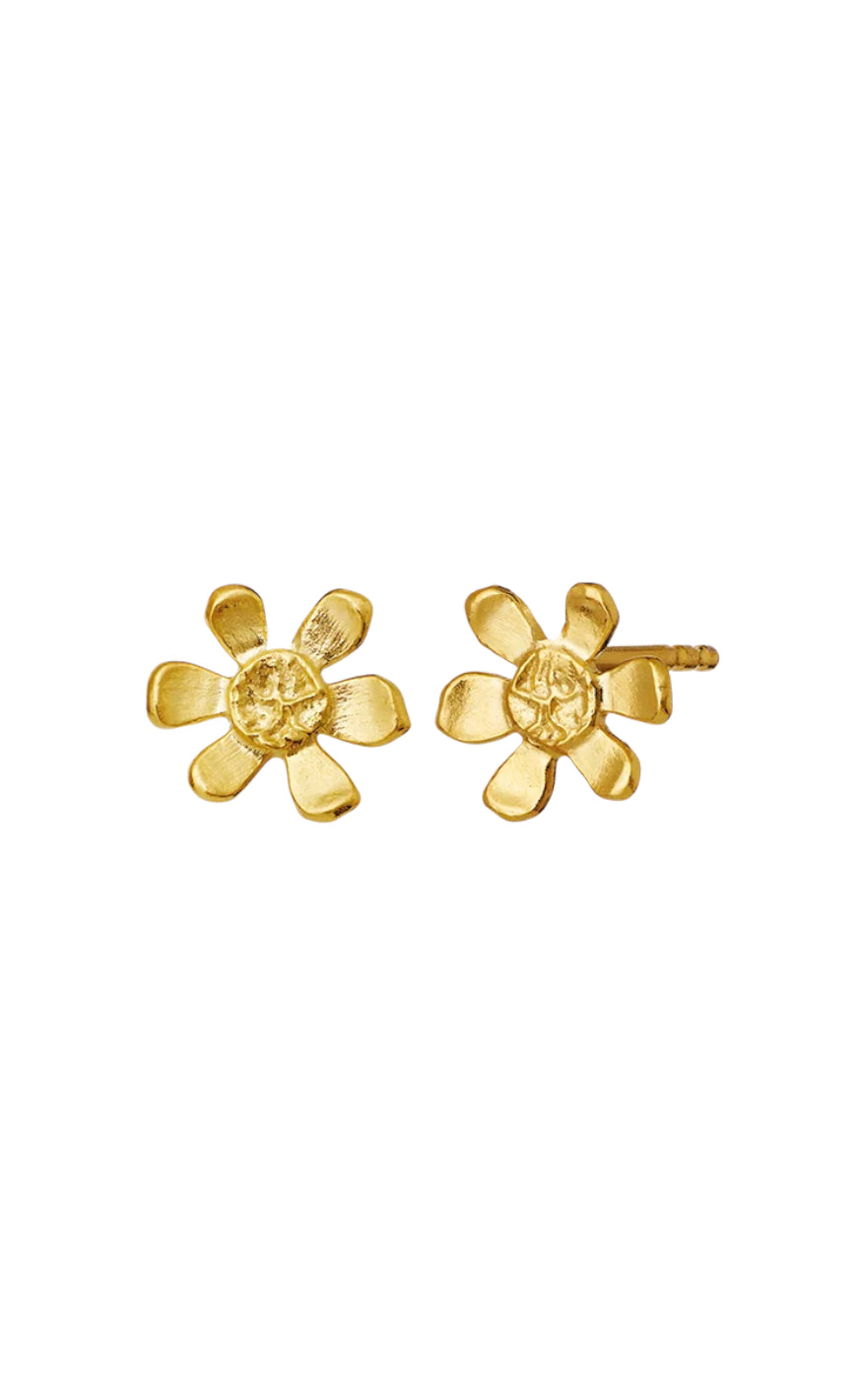 Maanesten Øreringer - Blossom - Gold Colour