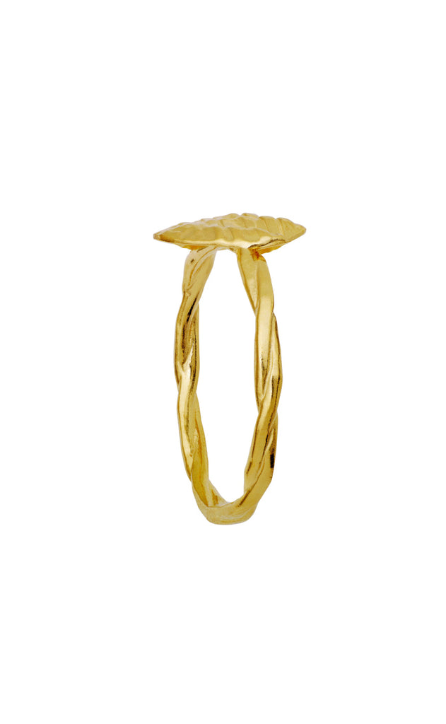 Maanesten Ring - Dwyn - Gold