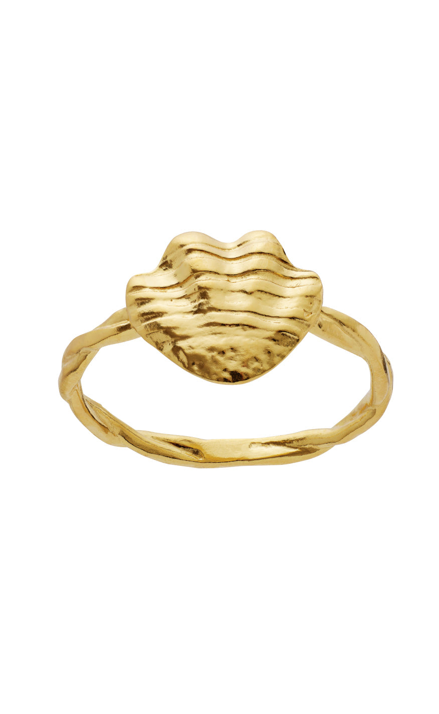 Maanesten Ring - Dwyn - Gold