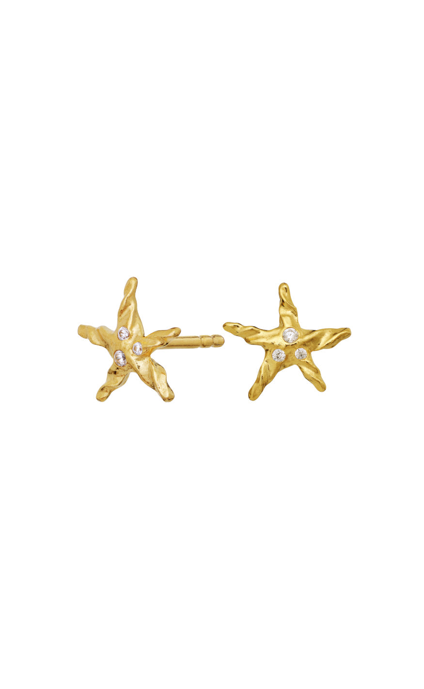 Maanesten Øreringer - Lana - Gold