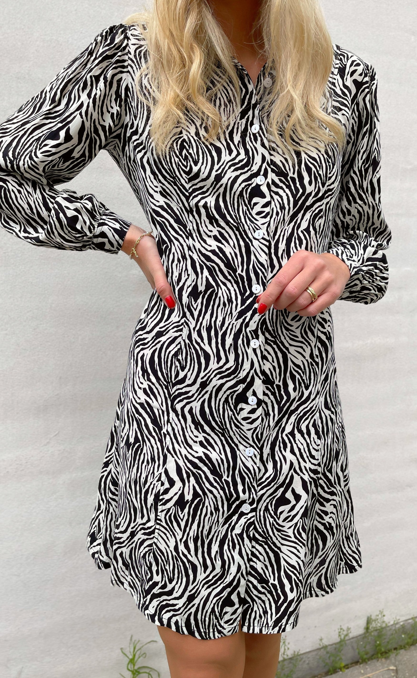 INA Copenhagen Kjole - Emma - White / Black Zebra