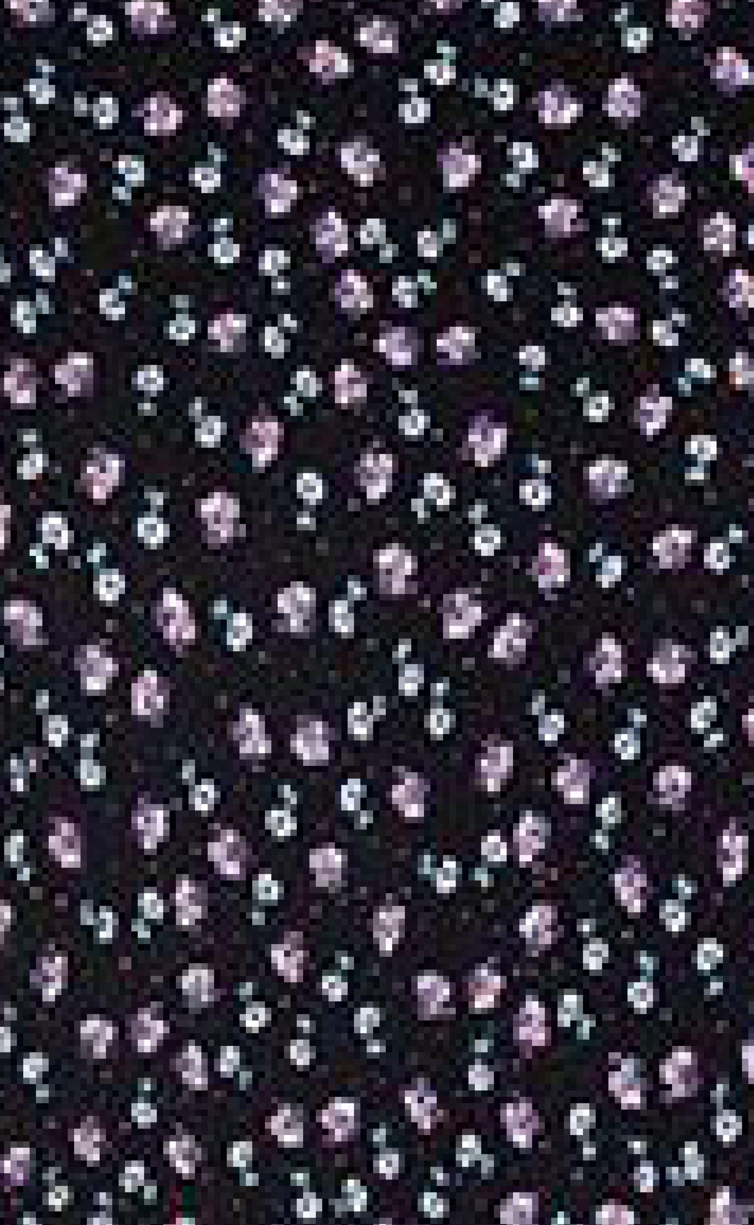 Neo Noir Kjole - Vogue Flower Spray - Black